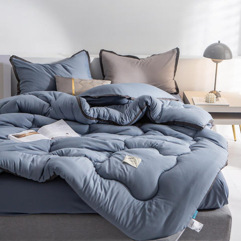 Slaapzaal Alternatief Dons Polyester Gezellig Gevoel Herfst Voor Twin Bed